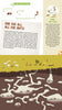 An illustrated infographic from "The Forest" by Schiffer Publishing, Ltd. shows ant colonies interacting with underground fungi, labeled by roles, with white fungal structures and text explaining their cooperation with woodland animals.