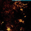 Dark abstract image features glowing orange nebula shapes on black. A blue box in the upper right reads "WHO MAY HURT?"—echoing the mysteries explored in the First Light Tarot 66-card set by Schiffer Publishing, Ltd.