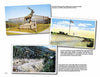 A collage of vintage Berkshires postcards from Schiffer Publishing, Ltd. features an elk statue on the Mohawk Trail, a scenic overlook with people and cars, and a winding forest road, each with printed text descriptions.