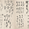 A vintage catalog page from Thomas Wilson's Ironwork Notebooks by Schiffer Publishing, Ltd. showcases ornate metal handles and decorative hardware with intricate ironwork designs, all neatly arranged on a cream-colored background.
