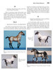 A Schiffer Publishing catalog page features four Hartland Horses: a dapple bay with teal wraps, a black pinto polo pony, a dapple grey Tennessee Walker stallion, and a black pinto—each a detailed plastic collectible.