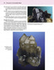 The Collector's Guide to the Minerals of New York State by Schiffer Publishing, Ltd. features images of striking quartz clusters with sharp points—elongated black crystals above and smoky, translucent ones below—ideal for collectors and described in geological context.