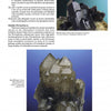 The Collector's Guide to the Minerals of New York State by Schiffer Publishing, Ltd. features images of striking quartz clusters with sharp points—elongated black crystals above and smoky, translucent ones below—ideal for collectors and described in geological context.