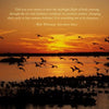 Birds of Cape May, New Jersey by Schiffer Publishing, Ltd. features silhouettes of birds flying over a sunset lake, evoking migration. A Walt Whitman quote about birds flying at night appears at the top center, celebrating wildlife photography.