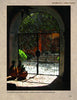 A sunlit courtyard with greenery and terracotta walls, seen through an ornate wrought iron door, showcases the charm of Mexican architecture in "San Miguel's Mexican Exteriors" by Schiffer Publishing, Ltd. Pineapple decor accents the scene.