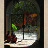 A sunlit courtyard with greenery and terracotta walls, seen through an ornate wrought iron door, showcases the charm of Mexican architecture in "San Miguel's Mexican Exteriors" by Schiffer Publishing, Ltd. Pineapple decor accents the scene.
