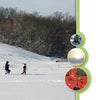 Two people with a sled cross a snowy field among trees in this Lancaster County: Out and About photo from Schiffer Publishing, Ltd. Three circular insets show scene details, a sunset, and a red poinsettia flower.