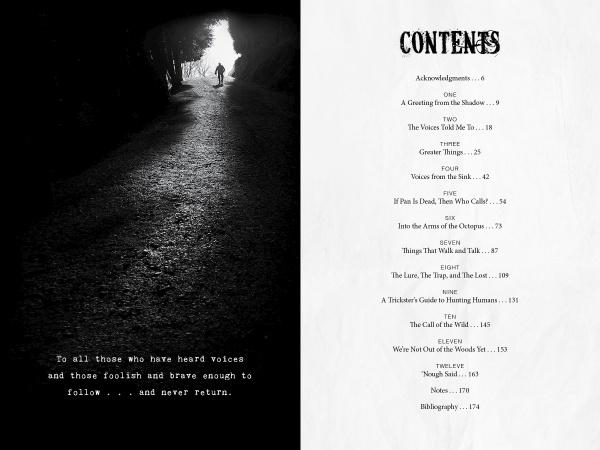 The book "Disembodied Voices" by Schiffer Publishing, Ltd. opens with a dark image of a lone figure walking toward light and a table of contents listing true stories of paranormal encounters with chapter titles and page numbers.