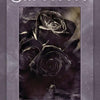 The book cover for Inspirations for Survivors by Schiffer Publishing, Ltd. features a dark, artistic image of two roses symbolizing healing, with the subtitle "44 Inspirational Cards & Guidebook by Aunia Kahn & Russell J. Moon" on a textured purple background.