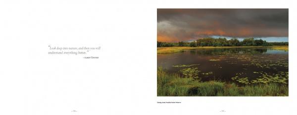 A tranquil Pinelands wetland scene with calm water, green grasses, and lily pads under an orange-lit sky appears in "Pinelands" by Schiffer Publishing, Ltd. A simple quote is shown on the left page.