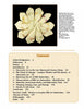 The book "Silk Art Embroidery" by Schiffer Publishing, Ltd. features a flower-shaped textile embroidery on the page top, with a contents table listing art embroidery and Victorian needlework chapters, resources, and glossary.