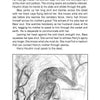 An evocative black-and-white illustration from Schiffer Publishing, Ltd.’s "Long Island’s Most Haunted" shows a man collapsed over a grave and a grieving woman nearby, capturing the eerie essence of Long Island's haunted history among bare trees and old gravestones.