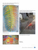 A collage of three artworks inspired by mosaic art from "Fused Glass Mosaics" by Schiffer Publishing, Ltd.: a vibrant palm leaf chalk drawing, a dancing girl in progress, and bright steel drums—all labeled underneath.