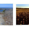 A stone tower overlooks a lake and forest, while sunlit fields of golden grass glow at sunset—captured in stunning detail in "Cape Cod and the Islands" by Schiffer Publishing, Ltd.