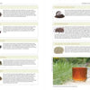 An open spread from "What's Your Potion?" by Schiffer Publishing, Ltd. showcases teas like Assam, Ceylon, Darjeeling, Dragonwell, and Earl Grey on the left, with Formosa Oolong, Gunpowder, and Jasmine Silver Needles on the right.
