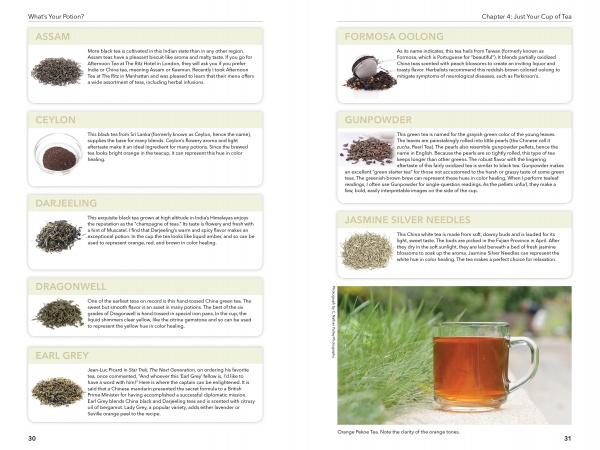An open spread from "What's Your Potion?" by Schiffer Publishing, Ltd. showcases teas like Assam, Ceylon, Darjeeling, Dragonwell, and Earl Grey on the left, with Formosa Oolong, Gunpowder, and Jasmine Silver Needles on the right.