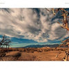 Experience a stunning desert panorama from Back Roads of Southern California by Schiffer Publishing, Ltd.—featuring Death Valley’s dry, twisted trees, sandy dunes, sparse vegetation, and distant mountains under a dramatic sky, ideal for photography lovers.