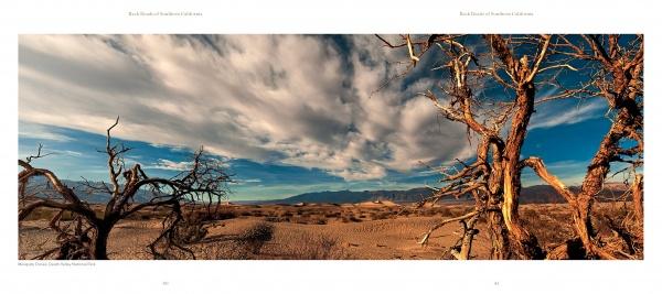 Experience a stunning desert panorama from Back Roads of Southern California by Schiffer Publishing, Ltd.—featuring Death Valley’s dry, twisted trees, sandy dunes, sparse vegetation, and distant mountains under a dramatic sky, ideal for photography lovers.