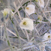 White calla lilies with green stems and icy sticks form a frosty arrangement. “Taking the Flower Show Home” by Schiffer Publishing, Ltd. is featured in the blurred background—ideal for a floral design display.