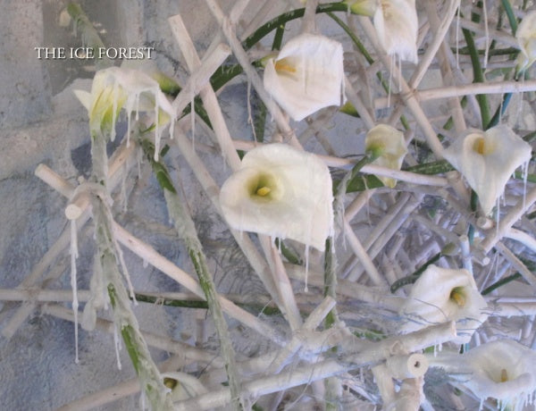 White calla lilies with green stems and icy sticks form a frosty arrangement. “Taking the Flower Show Home” by Schiffer Publishing, Ltd. is featured in the blurred background—ideal for a floral design display.