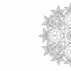 Garden Life by Schiffer Publishing, Ltd. features a black-and-white coloring page with detailed nature mandalas of beetles and flowers on the right, plus a stag beetle illustration and info on the left—great for mindfulness coloring books.