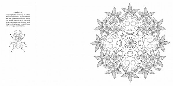 Garden Life by Schiffer Publishing, Ltd. features a black-and-white coloring page with detailed nature mandalas of beetles and flowers on the right, plus a stag beetle illustration and info on the left—great for mindfulness coloring books.