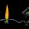 In Astro Pea by Schiffer Publishing, Ltd., Pete the pea rides a carrot spaceship blasting off from the garden, leaving a veggie trail behind as he embarks on a cosmic adventure.