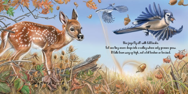 A fawn stands in autumn grass by a tree branch as a blue jay drops an acorn, with more acorns and colorful leaves nearby. This enchanting scene appears in "The Tiny Giant," a children’s nature book from Schiffer Publishing, Ltd.
