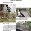 A collage features workers finishing Schiffer Publishing, Ltd.'s Cast-in-Place Concrete Countertops, applying acid and acrylic stains to countertops and a pool edge, showcasing various decorative concrete techniques.