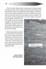 A page from Ghosts of Maine (Schiffer Publishing, Ltd.) features text about Al Brady’s grave above a gravestone photo at Bangor’s Mount Hope Cemetery, a notable paranormal hotspot. The caption notes it as gangster Al Brady’s gravesite.
