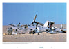 No Way Out by Schiffer Publishing, Ltd. tells the enduring WWII bomber mystery of the B-24 Liberator Lady Be Good—wrecked in the Libyan Desert with broken tail, damaged nose and engines—abandoned beneath a cloudless sky.