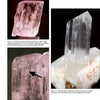 Explore a page from Schiffer Publishing, Ltd.’s "Collector's Guide to the Pyroxene Group," featuring three spodumene crystals: a pink tabular piece, a colorless prismatic specimen on matrix, and a detail with an arrow highlighting classic internal growth.