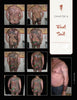A collage displays Japanese Style Tattoo Art by Schiffer Publishing, Ltd. on a person’s back, torso, and arm at different stages, with the text “Chapter 6 First Suit” shown on the right.