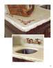 Create rustic kitchen and bathroom vanities with "Casting Concrete Countertops" by Schiffer Publishing, Ltd., ideal for DIY countertop projects featuring creative designs, built-in sinks, and unique finishes.