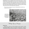 A page from "Connecticut Lore" by Schiffer Publishing, Ltd. features info on Ledyard trails, a black-and-white photo of local rock formations, and highlights Mystic Disc, a record store among Connecticut’s unique attractions.