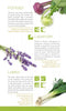 A page from The Farmer's Market Guide by Schiffer Publishing, Ltd. highlights kohlrabi, lavender, and leeks with photos, descriptions, and seasonal recipes using these fresh local vegetables and herbs.