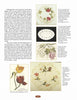 A magazine page showcases Schiffer Publishing, Ltd.'s Silk Art Embroidery, presenting Victorian needlework with tulips, roses, grapes, and pansies on antique linens; each illustrated item includes a brief description and price.