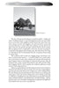 A black and white photo of a grand tree in a sunlit field tops a page detailing Cynthia Moore Brown's emerald discovery, featured in "Folktales and Ghost Stories of North Carolina's Piedmont" by Schiffer Publishing, Ltd.