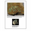A page from "Introduction to Radioactive Minerals" by Schiffer Publishing, Ltd. shows mottramite specimens: plates and flakes on sandstone above, and equant crystals on rock below, each with descriptive captions.