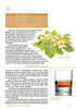 A cookbook page from "The Umami Factor" by Schiffer Publishing, Ltd. features recipes, text, a photo of mulberries and rye whiskey, plus fermentation tips for unique custom drinks with detailed ingredients and instructions.