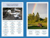 A two-page spread from *Lighthouses and Coastal Attractions of Northern New England* by Schiffer Publishing, Ltd.: left page—four seals on rocks with coastal attractions list; right—a rainbow above trees and rusty truck, plus lighthouse guide and tour info.