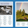 A two-page spread from *Lighthouses and Coastal Attractions of Northern New England* by Schiffer Publishing, Ltd.: left page—four seals on rocks with coastal attractions list; right—a rainbow above trees and rusty truck, plus lighthouse guide and tour info.