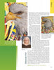 A magazine page showcases "Eagle Motifs in America" by Schiffer Publishing, Ltd., featuring a close-up quilted bald eagle, a full artwork view, artist Deborah Fell’s portrait, and highlights of her patriotic quilt designs and textile art achievements.