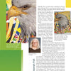 A magazine page showcases "Eagle Motifs in America" by Schiffer Publishing, Ltd., featuring a close-up quilted bald eagle, a full artwork view, artist Deborah Fell’s portrait, and highlights of her patriotic quilt designs and textile art achievements.