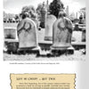 Side by side in a cemetery, two draped gravestones appear among headstones and trees. Cemetery Gates by Schiffer Publishing, Ltd. explores how funeral practices like airtight caskets slow decomposition versus open caskets.