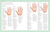 Your Health in Your Hands" by Schiffer Publishing, Ltd. presents an infographic on palm reading, featuring four illustrated hands—Earth, Air, Fire, Water—each showing traits, personalities, health tips, and suggested actions for well-being.