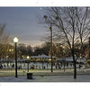 People ice skating on an outdoor rink surrounded by lit trees at dusk—a perfect scene captured in Boston by Schiffer Publishing, Ltd., with glowing buildings and snowy ground showcasing iconic city attractions.