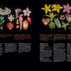 The Atlas of Flowering Plants by Schiffer Publishing, Ltd. features colorful flowers, leaves, and fruits from various plant families on a black background with letter labels and text descriptions beneath the images on both pages.