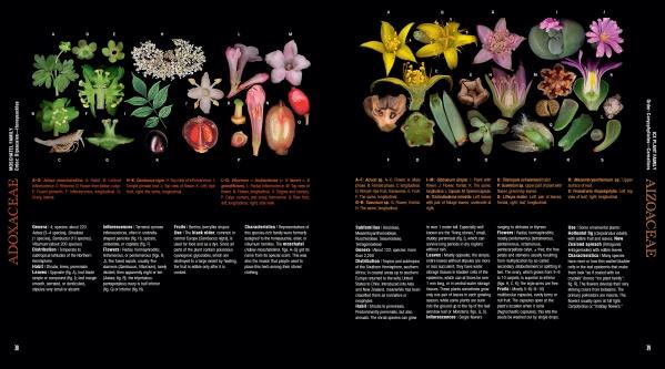 The Atlas of Flowering Plants by Schiffer Publishing, Ltd. features colorful flowers, leaves, and fruits from various plant families on a black background with letter labels and text descriptions beneath the images on both pages.