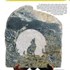 Carving a Coyote in Soapstone by Schiffer Publishing, Ltd. features a plaque of a howling coyote and cactus, displayed on a wooden stand, with text exploring the cultural history and symbolism of coyotes.